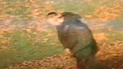 Woman raped in ‘racially aggravated’ attack